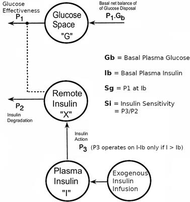 Adapting Protocols or Models for Use in Insulin-Requiring Diabetes and Islet Transplant Recipients